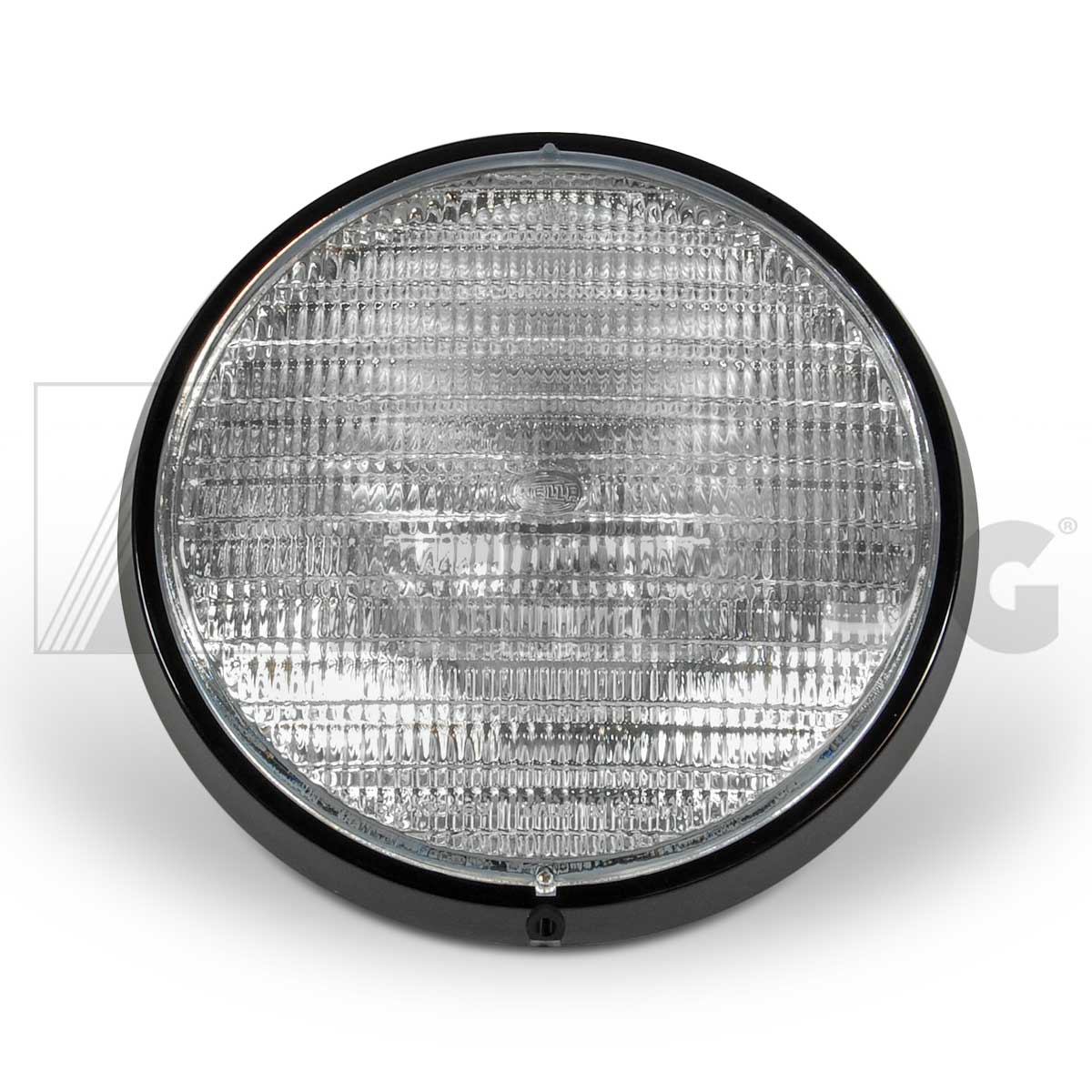 10007251