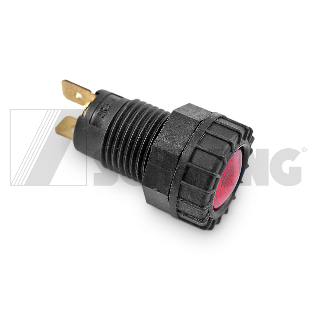 Product-10004